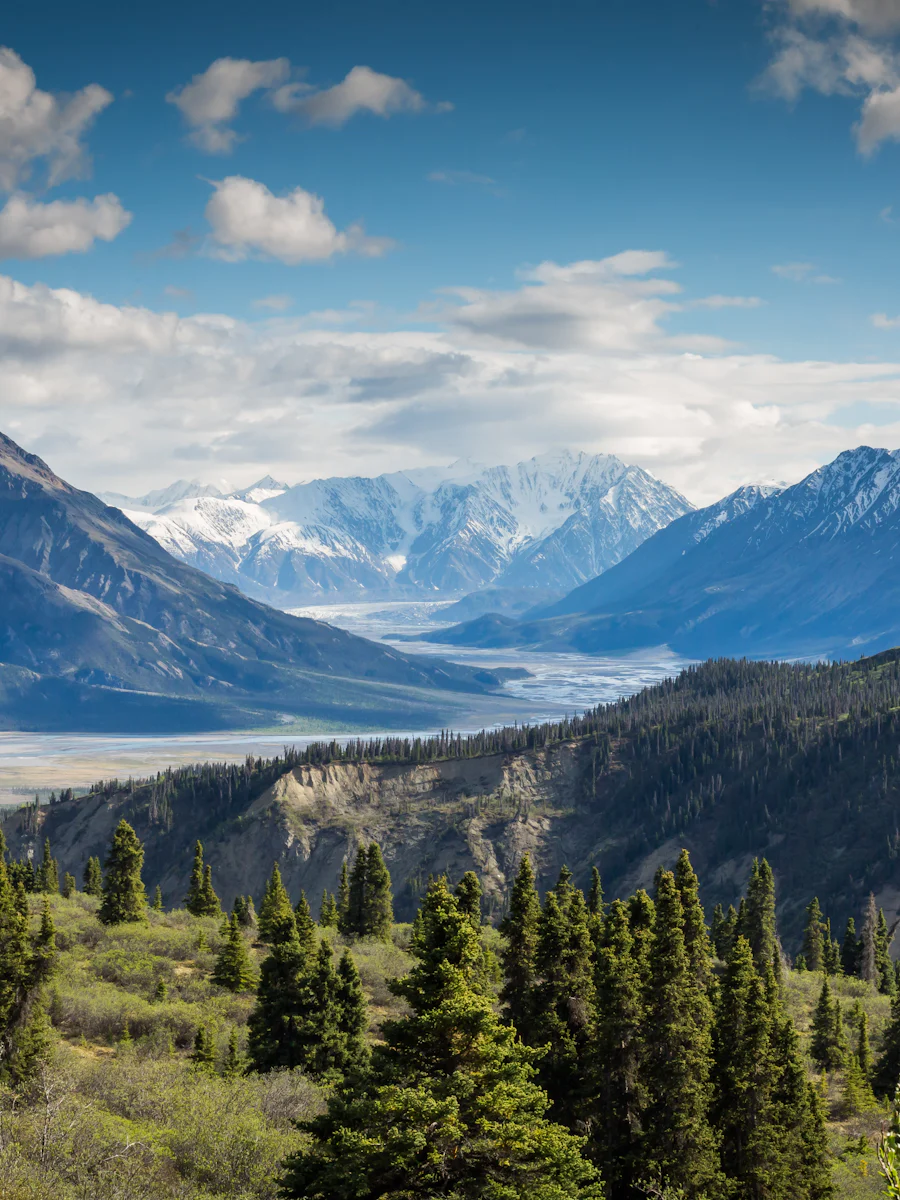 Evergreen mountain valley near Park City, Utah in summer
